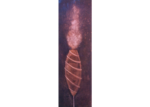 /images/gallery-min/abr-04.png