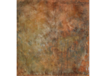 /images/gallery-min/astr01.png