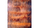 /images/gallery-min/astr10.png