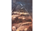 /images/gallery-min/b03-04.png