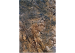 /images/gallery-min/c03-02.png