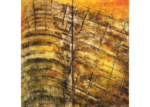 /images/gallery-min/c05-06.png