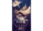 /images/gallery-min/cig-29.png