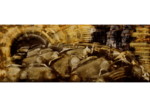 /images/gallery-min/meg-31.png