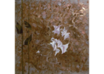 /images/gallery-min/nat-04.png