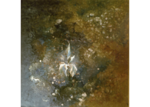 /images/gallery-min/nat-06.png