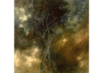 /images/gallery-min/nat-08.png