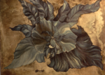 /images/gallery-min/nat-11.png