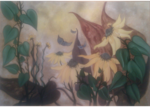 /images/gallery-min/nat-15.png