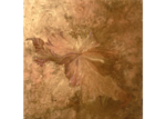 /images/gallery-min/nat-34.png