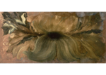 /images/gallery-min/nat-35.png