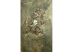 /images/gallery-min/nat-37.png