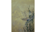 /images/gallery-min/nat-50.png