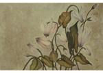 /images/gallery-min/nat-60.png
