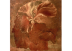 /images/gallery-min/ros-09.png