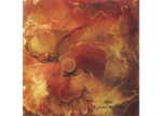 /images/gallery-min/ros-31.png