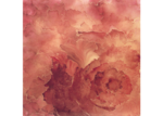 /images/gallery-min/ros-32.png