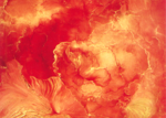 /images/gallery-min/ros-33.png