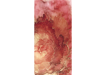 /images/gallery-min/ros-34.png