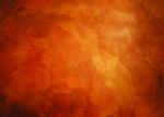 /images/gallery-min/ros-35.png