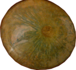 /images/gallery-min/ter-15.png
