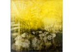 /images/gallery-min/vmc-42.png